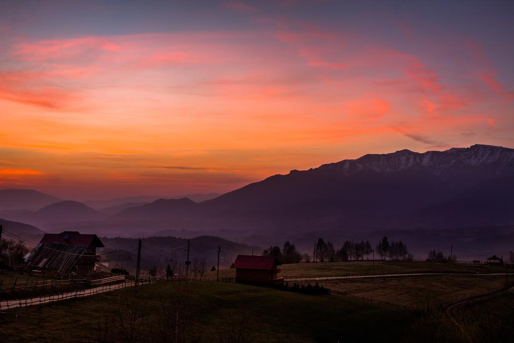 Nobillis - Carpathian Residence Peştera Buitenkant foto